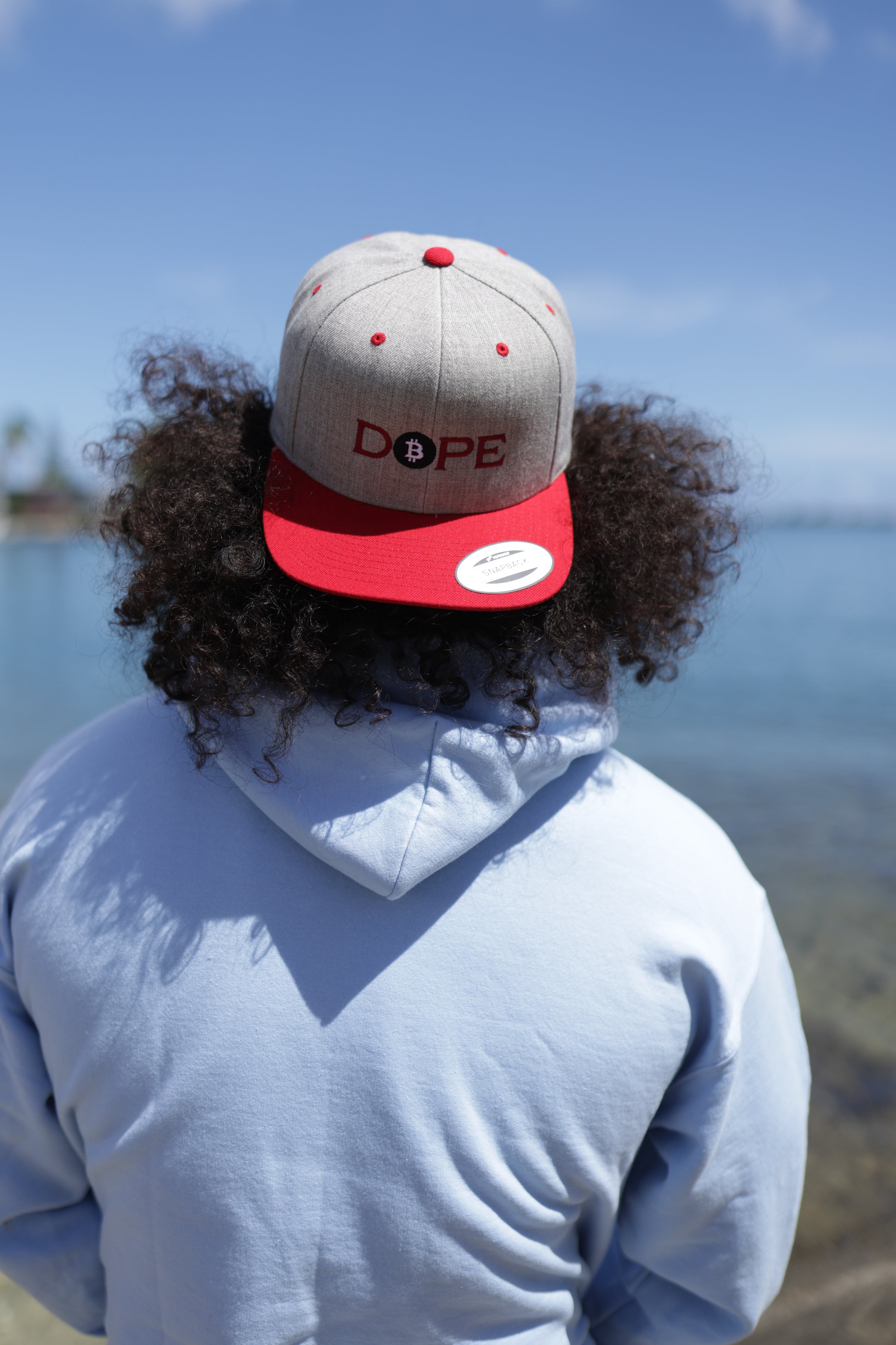 Bitcoin Is Dope D₿pe Genesis Snapback Hat Heathers + Red Edition