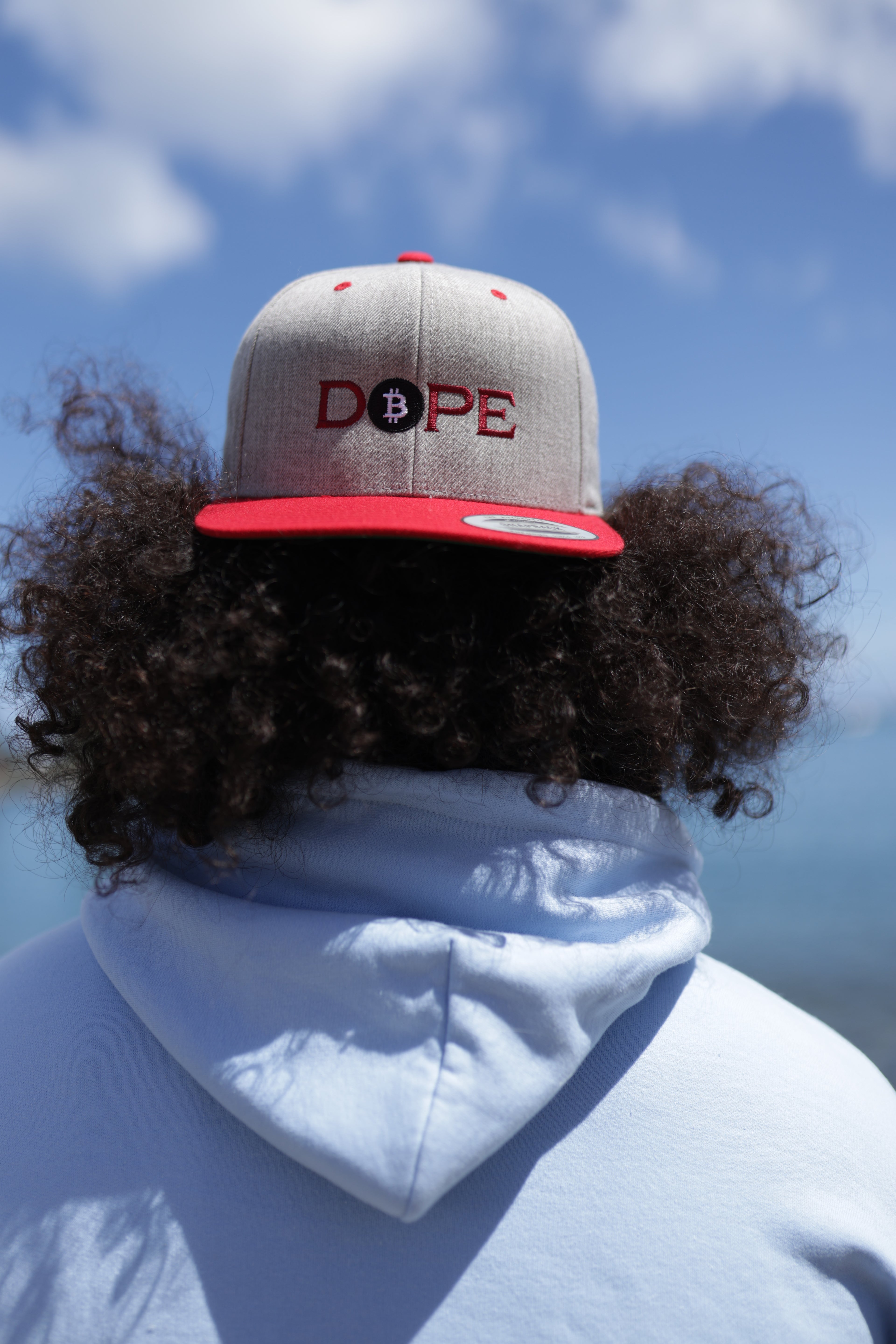 Bitcoin Is Dope D₿pe Genesis Snapback Hat Heathers + Red Edition