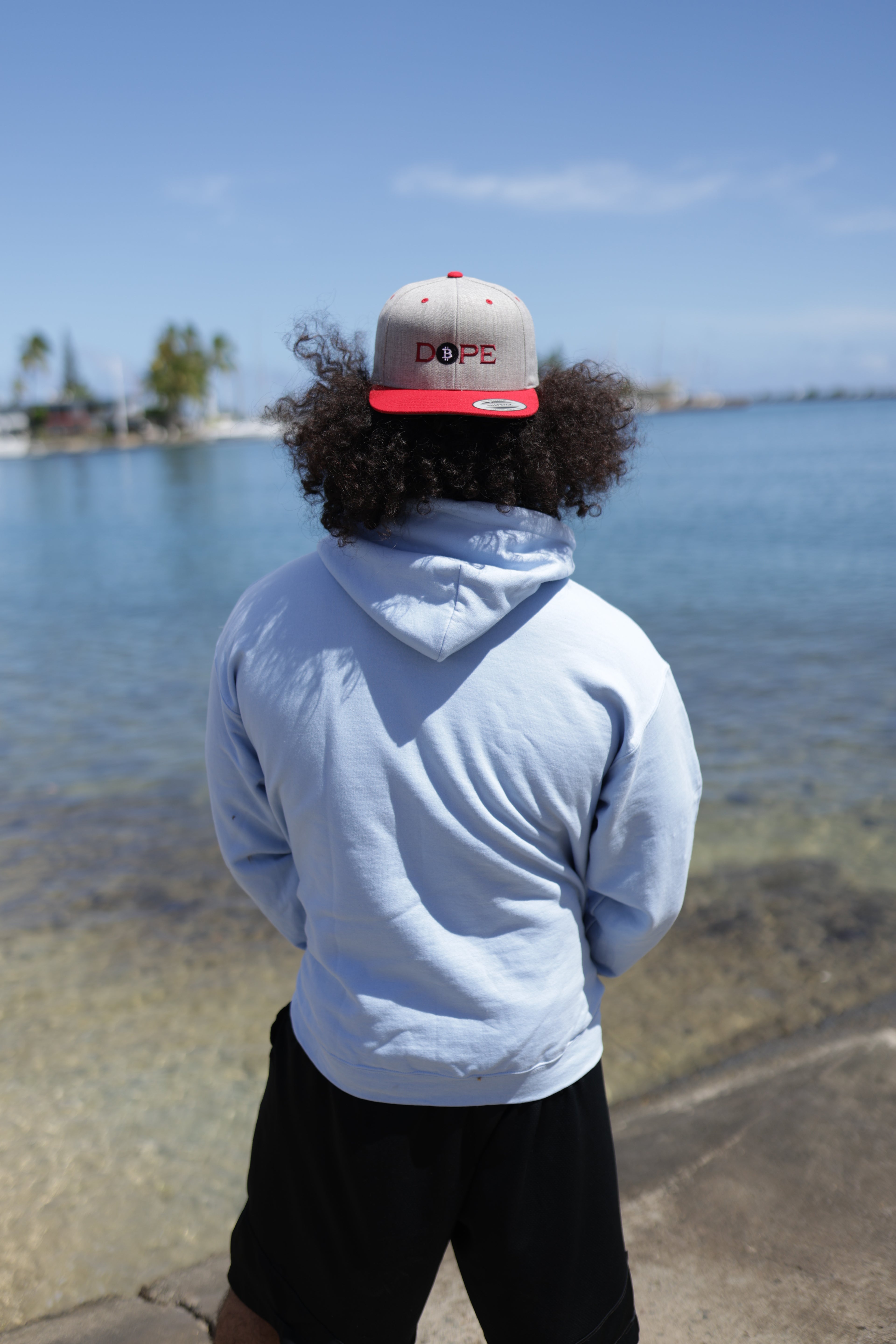 Bitcoin Is Dope D₿pe Genesis Snapback Hat Heathers + Red Edition